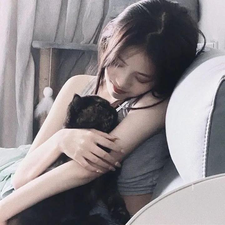 红色翅膀:火烈鸟故事